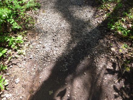 Soft surface trail that has sections of compacted gravel where it is prone to be wet
